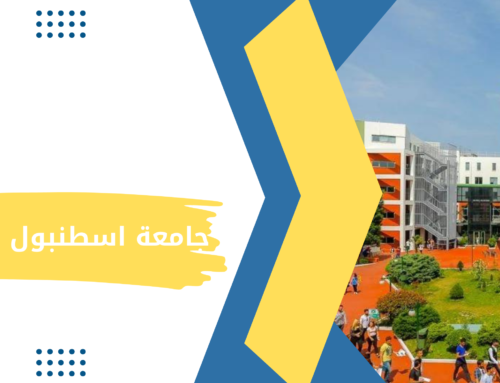 جامعة اسطنبول بيلجي