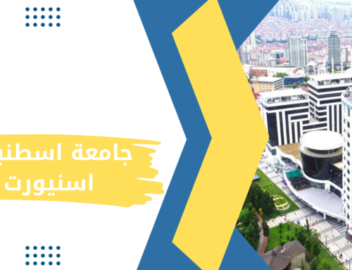جامعة اسطنبول اسنيورت